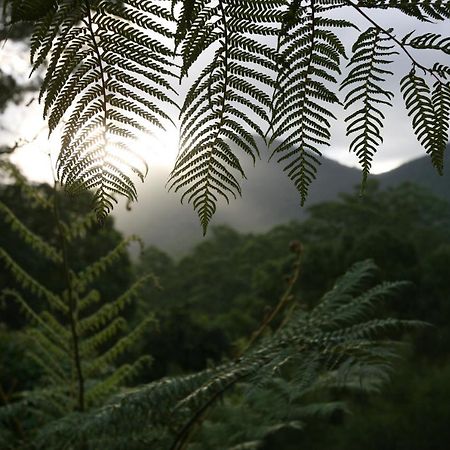Limpinwood Lodge المظهر الخارجي الصورة
